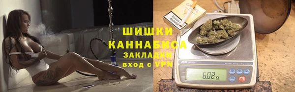 ГАЛЛЮЦИНОГЕННЫЕ ГРИБЫ Баксан